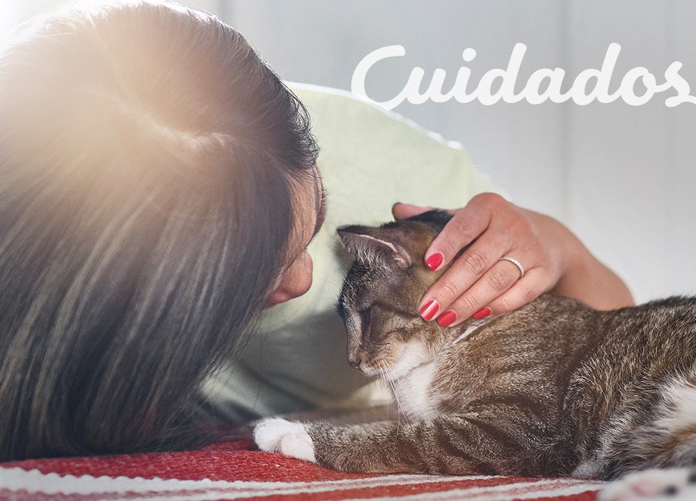 Mujer sobando a un gato, con aviso Cuidados