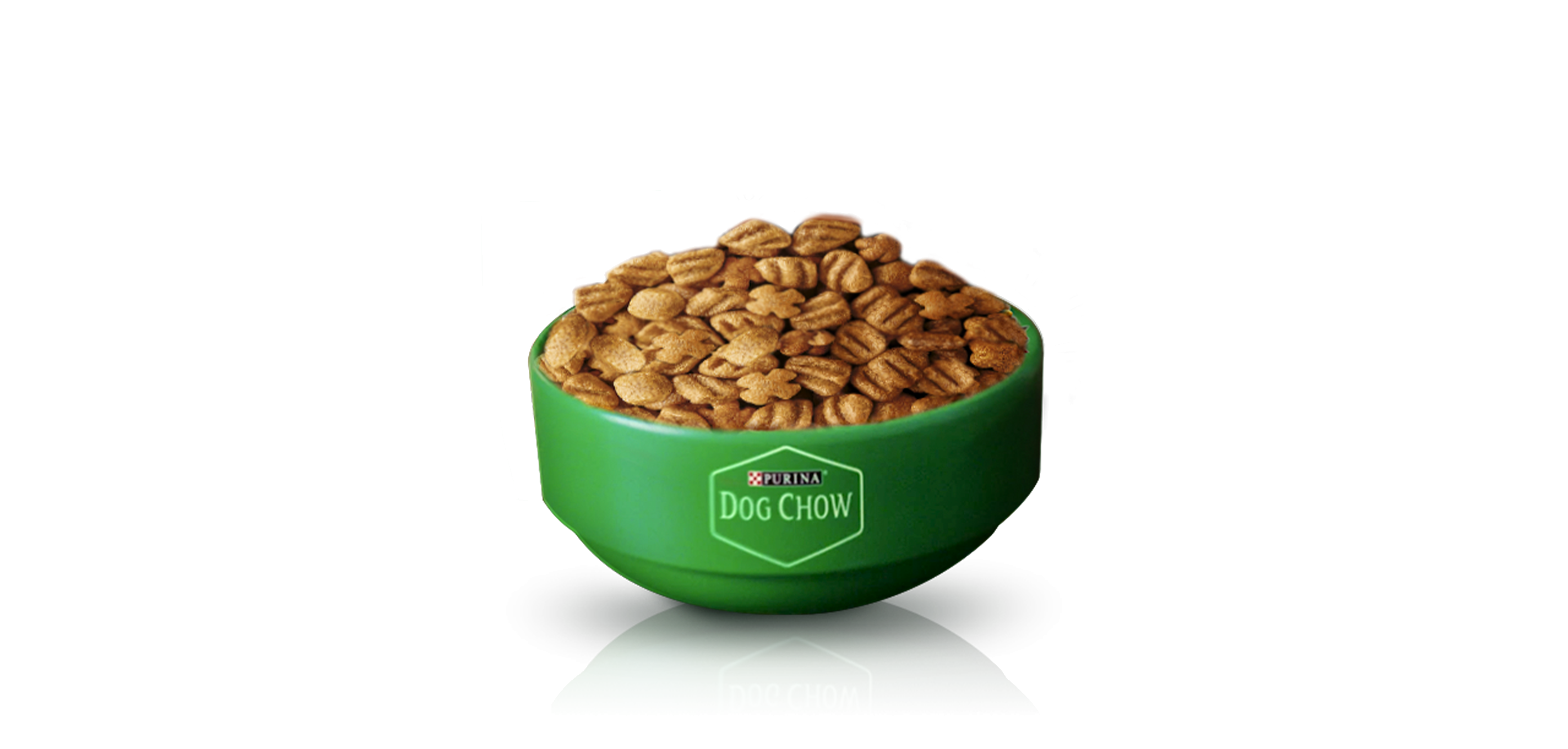 Plato verde servido con alimento seco Purina Dog Chow.