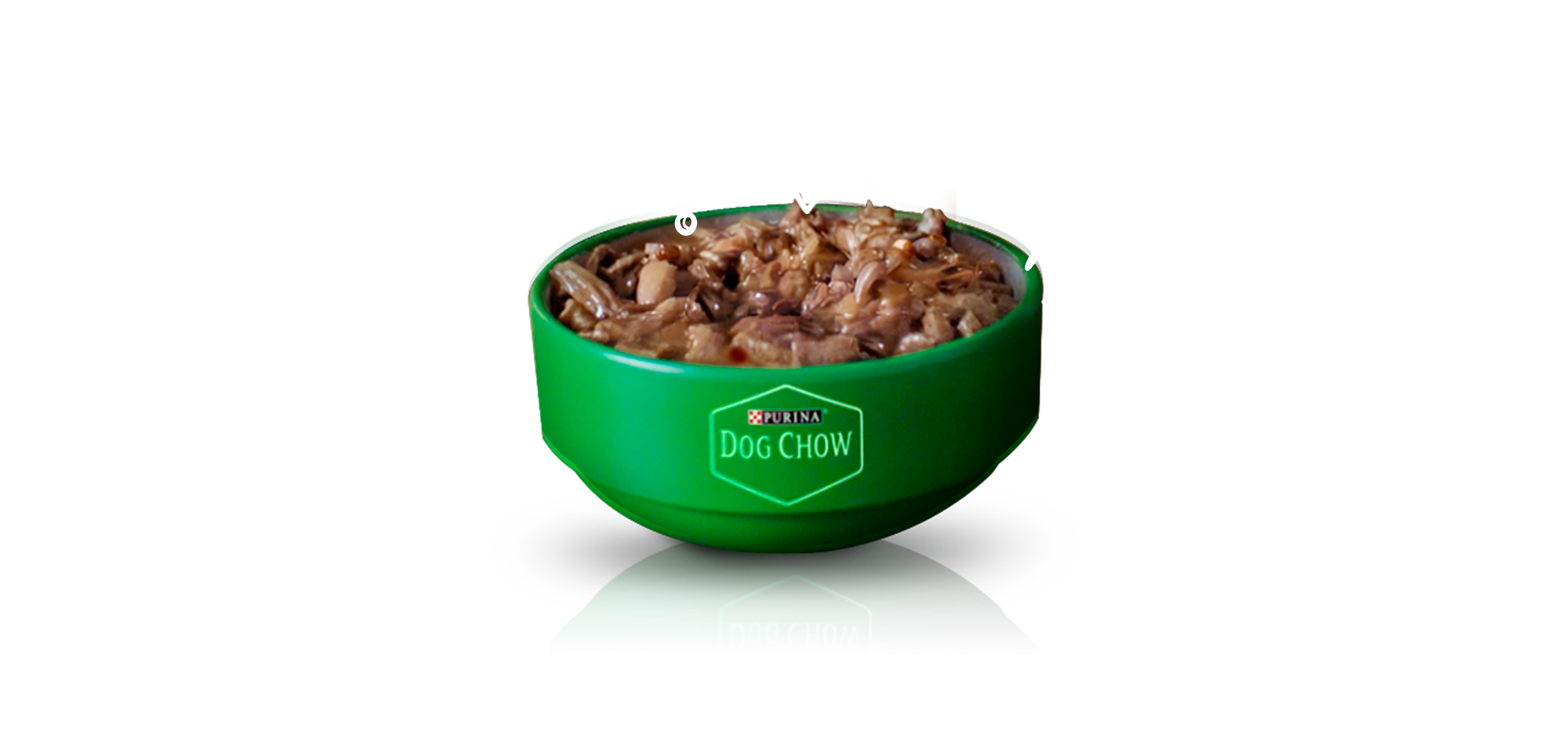 Plato verde servido con alimento húmedo Purina Dog Chow.