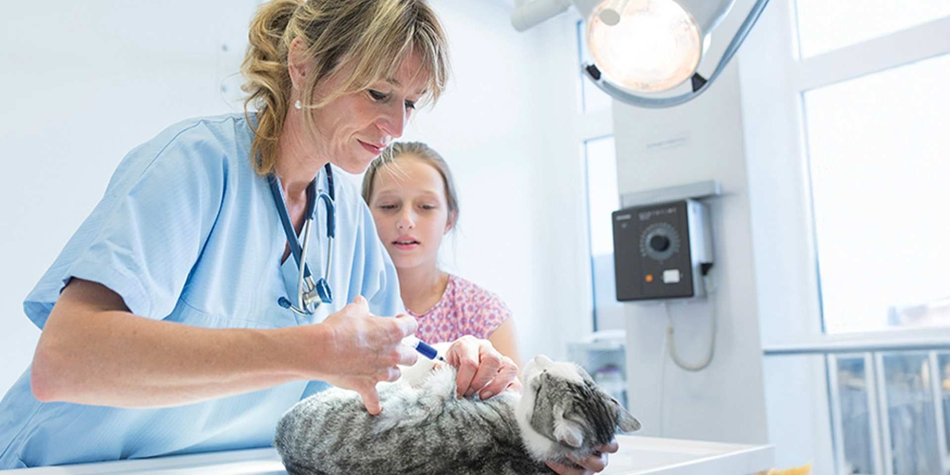 Qué significa la esterilización