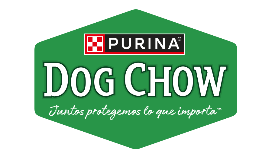 dogchow