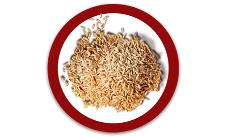 01_Purina_ONE_ICONOS_Arroz.png.webp?itok=rajX_99t