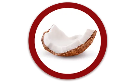 03_Purina_ONE_ICONOS_Coco.png.webp?itok=BrBb-Js-