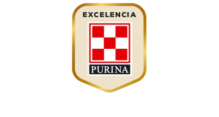 purina-campeon-excelencia-purina_0.png